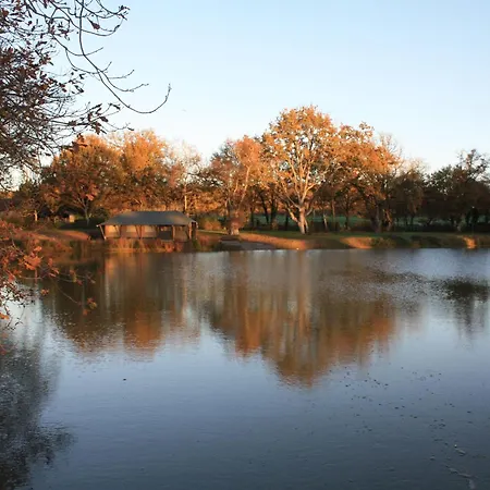 Tente Safari Glamping